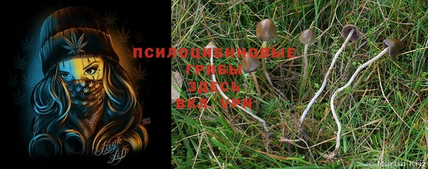 молекула духа Баксан